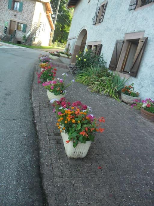 Gite La Fermette A Docelles Esterno foto