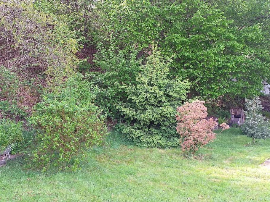 Gite La Fermette A Docelles Esterno foto