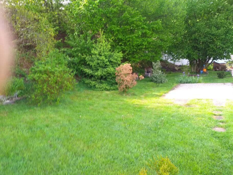 Gite La Fermette A Docelles Esterno foto